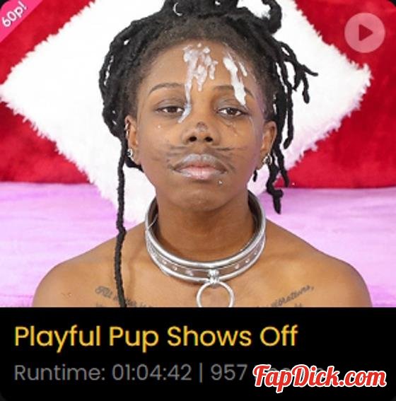 GhettoGaggers  - Playful Pup Shows Off [FullHD 1080p]
