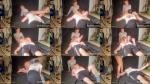 Nickses Productions - Belle Debuts Feat Belle Amelie [FullHD 1920P]  