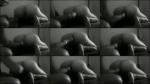 Deutsche_Dominaz - Fiste mit mir tiefer [HD 720P]  (MyDirtyHobby)