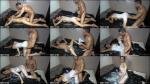 Andy-Star - Die Massage eskaliert total [HD 720P]  (MyDirtyHobby)