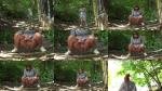 Julia In The Woods [FullHD 1920P]  