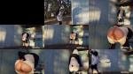 Panda Pissing [FullHD 1920P]  