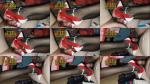 Erosmayan7 - Inserting His High Heels Into The Urethra [FullHD 1916P]  