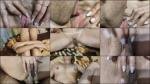 DirtyLubov - Behaarte muschi, masturbation mit lecken [HD 720P]  (MyDirtyHobby)
