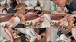 Goddess Grazi: Footjob, Foot Worship And Blowjob - Suck It All! [HD 720P]  