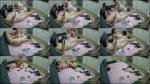 Voyeur-House - Draca And Nyk Sex Handjob And Blowjob With Luna Watching 27.08.2025 [HD 720P]  