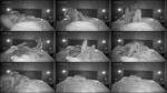 Voyeur-House - Mira Henry Bedroom Sex In The Dark 26.08.2025 [HD 720P]  
