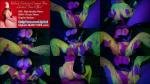 LilyKoti - REAL LIFE HENTAI! Big Veiny Tits GF Get Intense Pounded Bareback | LilyKoti [FullHD 1080P]  