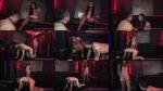 American Mean Girls: Hot Girls Don'T Pay [FullHD 1080P]  