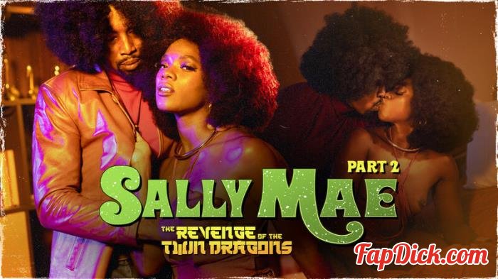 Ana Foxxx - Sally Mae: The Revenge of the Twin Dragons: Part 2 [HD 720p]