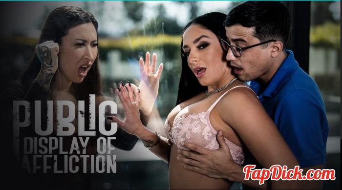 Sheena Ryder - Public Display Of Affliction [SD 544p]