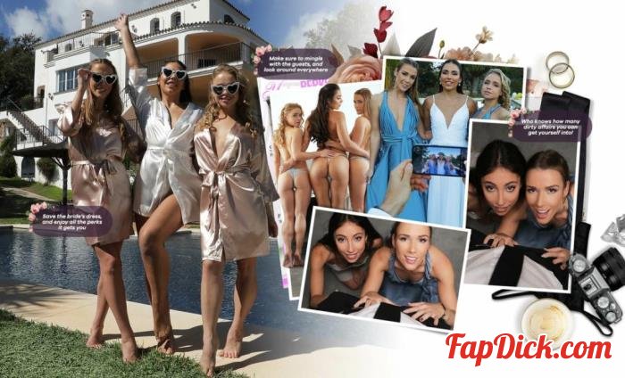 Alexis Crystal, Alexa Flexy, Milan Cheek - The Return of the Wedding Crasher [FullHD 1080p]