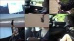 Selina Imai - Nichols Beach 1 [FullHD 1080P]  (ATKGirlfriends)