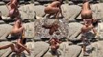 NaomiBobba – Pooping on the rock of empty beach [HD 1280P]  