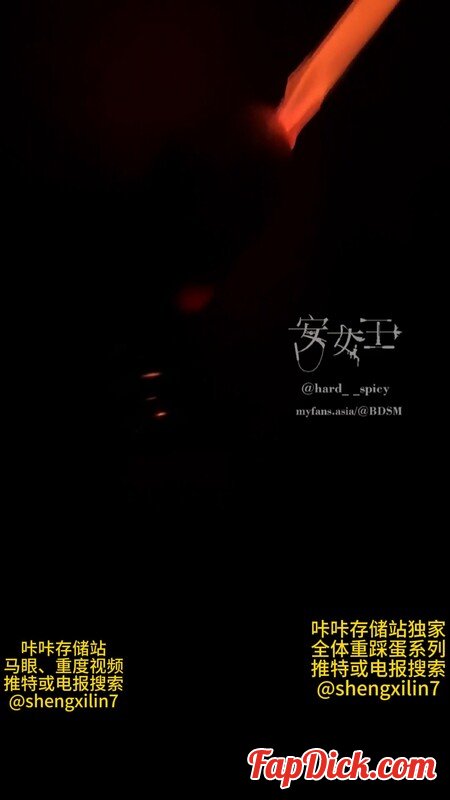 Erosmayan7 - Queen Ann, With An Electric Shock Device Inserted Into The Urethra [SD 1080P]  