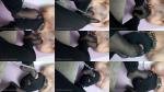 Goddess Merve - My Dog Loves To Deepfeet To My Nylons! [HD 1280P]  