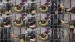 Mistress Gaia: Locked Up To Lick My Feet [FullHD 1080P]  