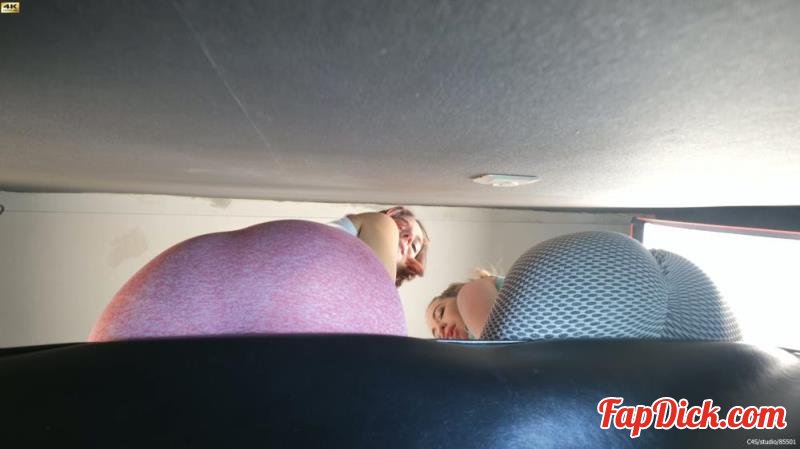 Wildcats - Have You Ever Been Humiliated Like This Worm [4K 2160P]  