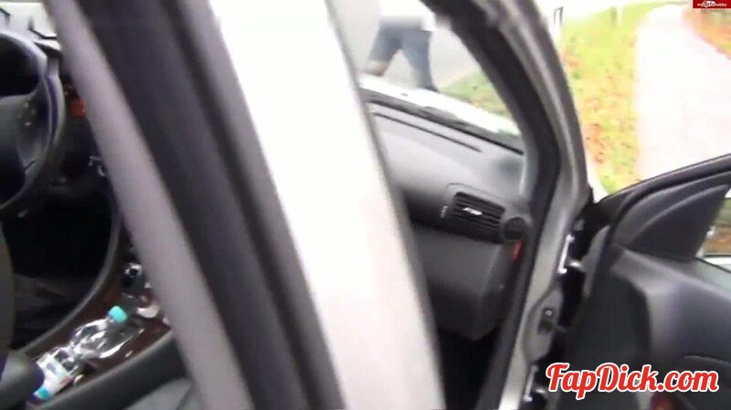 HornyRoxy - Motor kaltgepisst - Natursekt an der Bundesstra?e [FullHD 1080P]  (MyDirtyHobby)